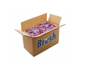 BRESH TABLETKI DO ZMYWARKI 12w1 All In One 500 szt