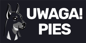 Tabliczka UWAGA ZŁY PIES PCV na furtkę