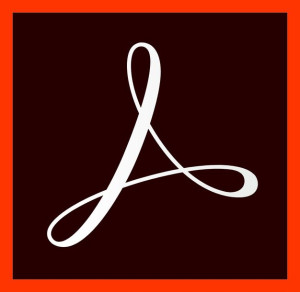 Adobe Acrobat Standard DC 1 rok