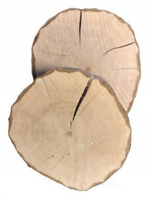 NATURALNE Plastry drewna GRAB krążki 15-20cm