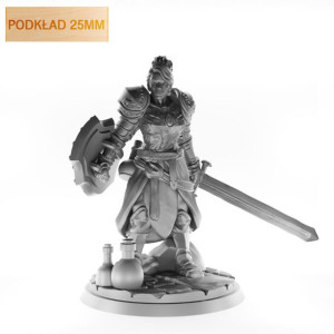 Figurka Rpg - Seria Humanoidy - Człowiek Paladynka B - Podkład 25 Mm