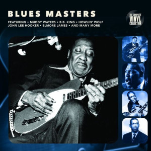 Various Artists Blues Masters Winyl Winyl 180g