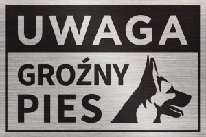 Tabliczka UWAGA GROŹNY PIES 30x20 cm