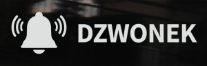 Tabliczka DZWONEK czarny połysk 20x6,5 cm