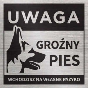 Tabliczka UWAGA GROŹNY PIES_WŁASNE RYZYKO 20x20 cm