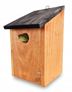 Budka Drewniana Dla Sikorek Mazurków Wróbli 30 mm Wlot Trwała 12x12x22