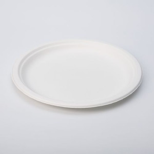 Talerz owalny z trzciny cukrowej 263*199*20mm(50szt/opakowanie)