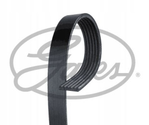 Gates Pasek Wieloklinowy Wielorowkowy 6pk2413
