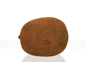 Sztuczny owoc - Kiwi