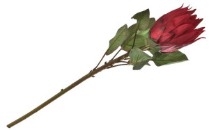 Protea kwiat sztuczny 70 cm