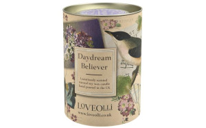 Świeca zapachowa Daydream Believer 220 g
