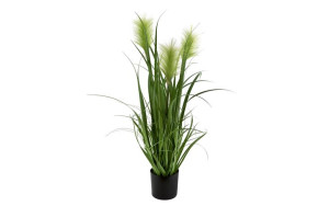 Kwiat w doniczce trawki 80cm