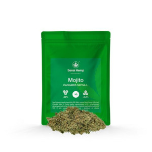 Mojito - Susz CBD 22% 1G