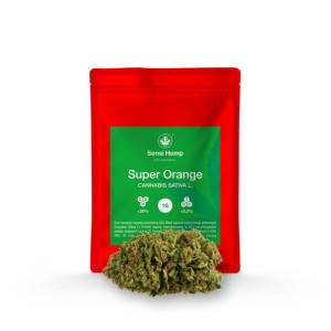 Super Orange - Susz CBD 20% 1G