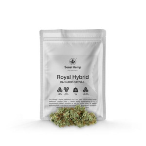 Royal Hybrid - Susz CBD 9% + CBG 9% 1G