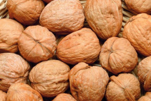 Orzech włoski 'Juglans regia' TARGO