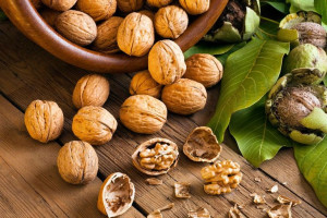 Orzech włoski Juglans regia 'Dodo'