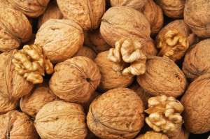 Orzech włoski Juglans regia 'Resovia'