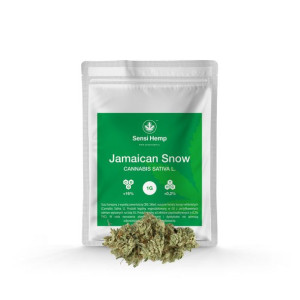Jamaican Snow - Susz CBG 16% 1G