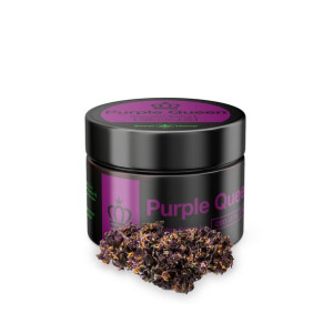 Purple Queen - Susz CBD 17% 2g