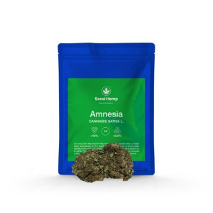 Amnesia - Susz CBD 12% 1G