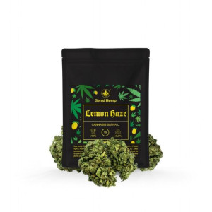 Lemon Haze - Susz CBD 15% 1G
