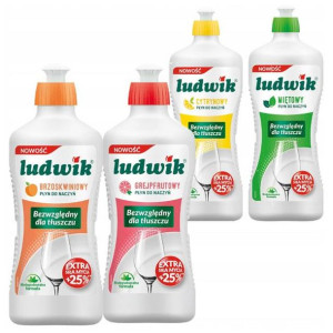 LUDWIK Płyn do mycia naczyń 900ml