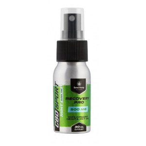 Olejek CBDSport Recovery Pro MINT 500mg 30ml