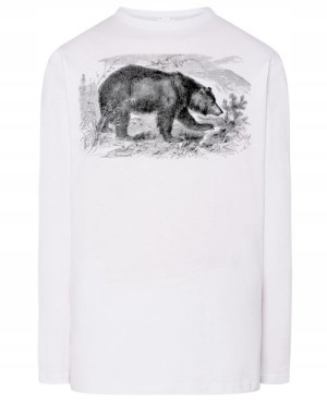 Longsleeve męski nadruk Miś Niedźwiedź r.4XL