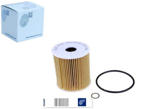 Filtr Oleju Bmw M57 M71 E39 46 Blue Print