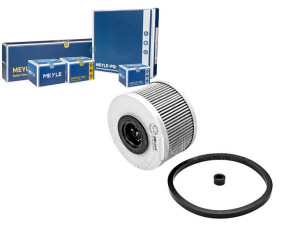 Filtr Paliwa Renault 1,9d Meyle
