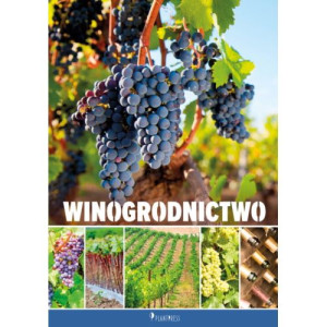 Winogrodnictwo - winogrono, winorośl