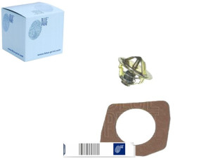 Termostat Nissan Blue Print