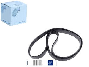 Pasek Wielorowkowy (7pk2164) Blue Print