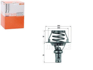 Termostat Renault Behr