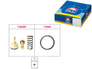 Termostat Facet 1880620 580620