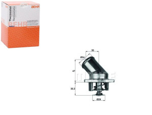 Termostat Daewoo Espero Behr