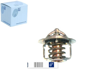 Termostat Toyota Blue Print