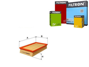 Filtr Powietrza Ford Filtron