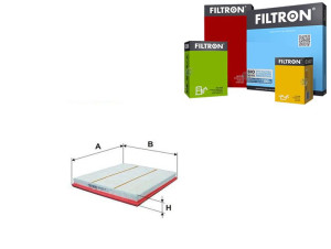 Filtr Powietrza Ford Filtron