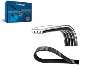 Pasek Klinowy Wielorowkowy [dayco]