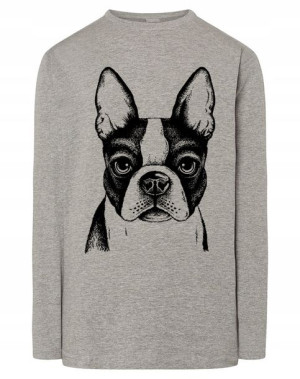 Longsleeve męski nadruk pies Boston Terrier r.3XL