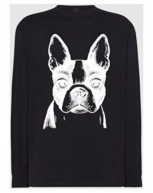 Longsleeve męski nadruk pies Boston Terrier r.XL