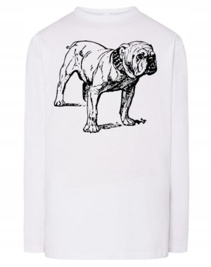 Longsleeve męski nadruk pies BULLDOG r.L