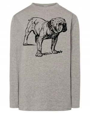 Longsleeve męski nadruk pies BULLDOG r.L