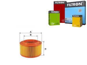 Filtr Powietrza Ford Filtron