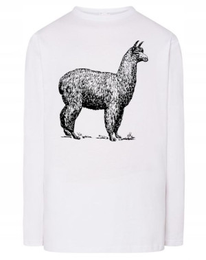 Longsleeve męski nadruk zwierzę LAMA r.3XL