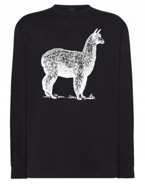 Longsleeve męski nadruk zwierzę LAMA r.XL