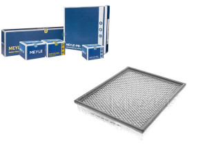 Filtr Powietrza Renault 2,5-2,8dti 97- Master Meyl