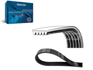 Pasek Klinowy Wielorowkowy [dayco]